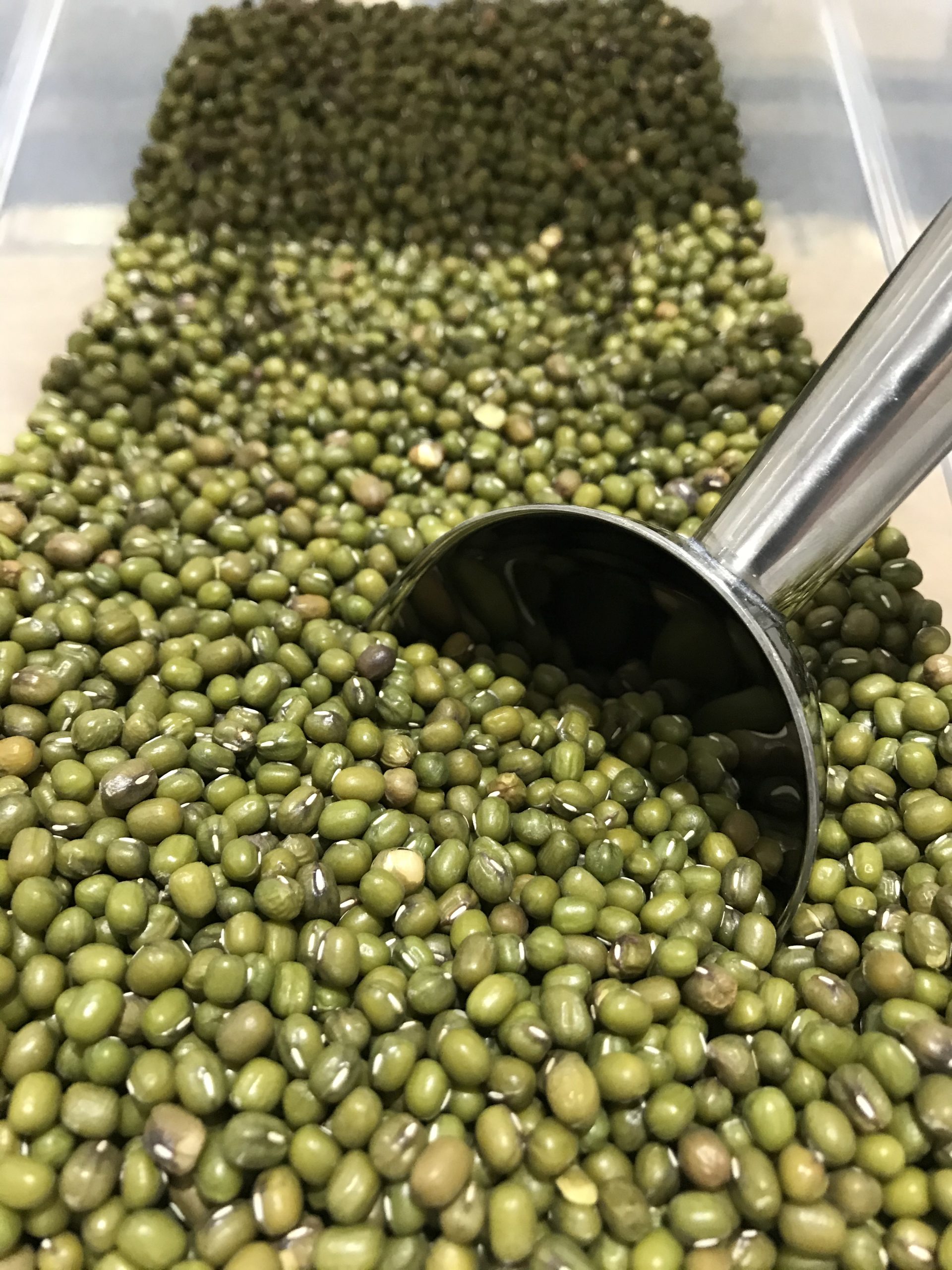 Mung Bean Organic Armstrong Creek Wholefoods